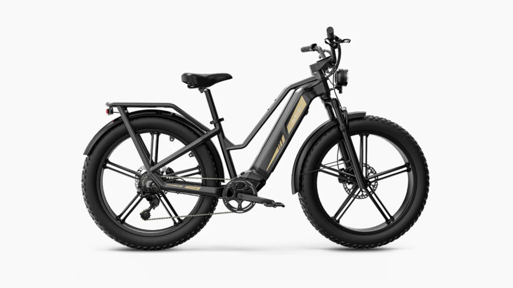 Fiido-e-bike